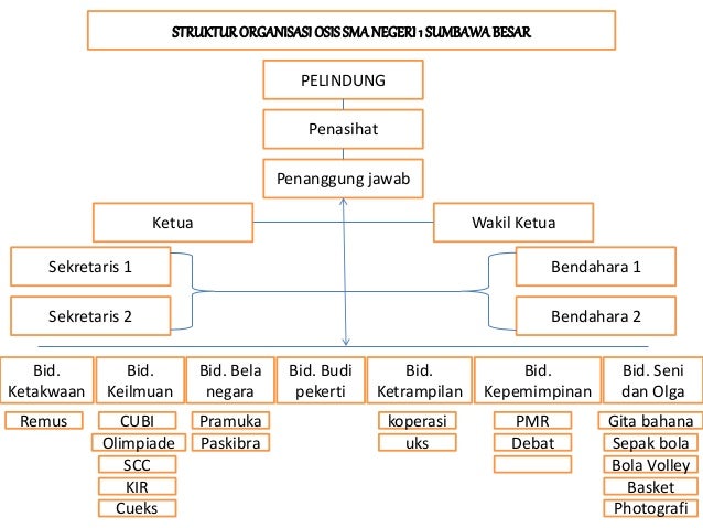 contoh administrasi osis Bagan Struktur Di Industri pelindung penasihat penanggung jawab ketua wakil ketua sekretaris 1 sekretaris 2 bendahara 1 bendahara 2 bid